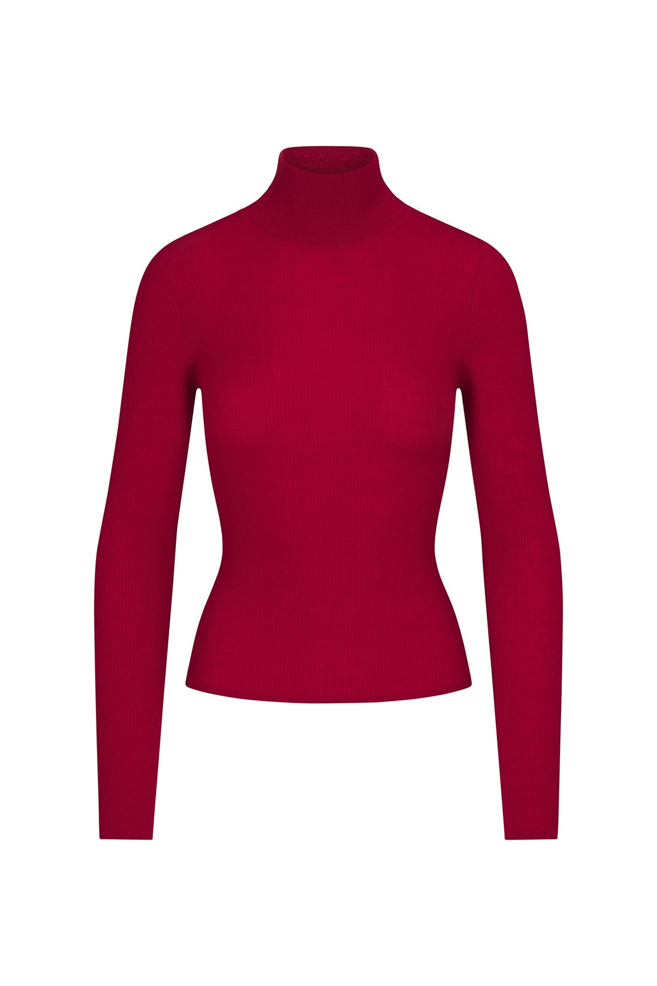 RUMER FITTED CASHMERE TURTLENECK